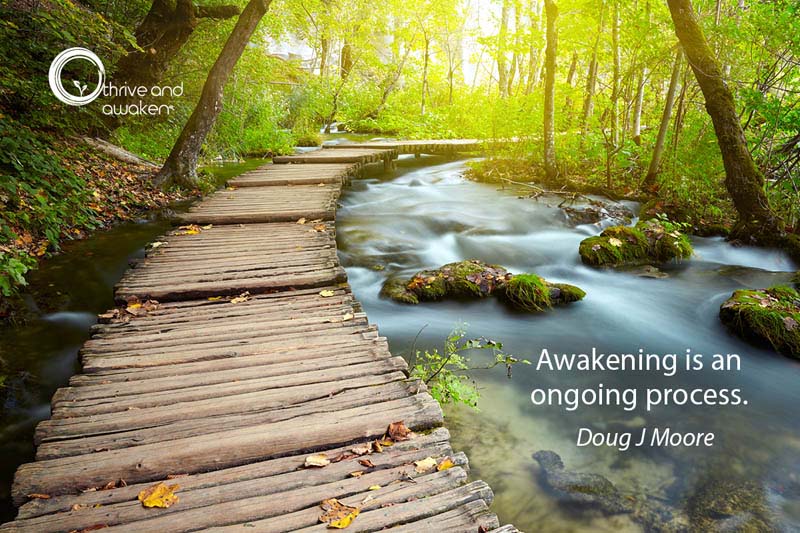walkway next to a stream with the saying: awakening is an ongoing process